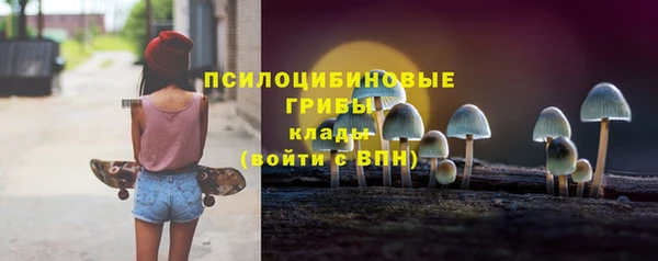 МДПВ Армянск