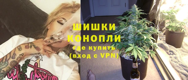 дживик Аркадак