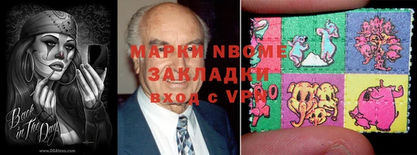индика Баксан
