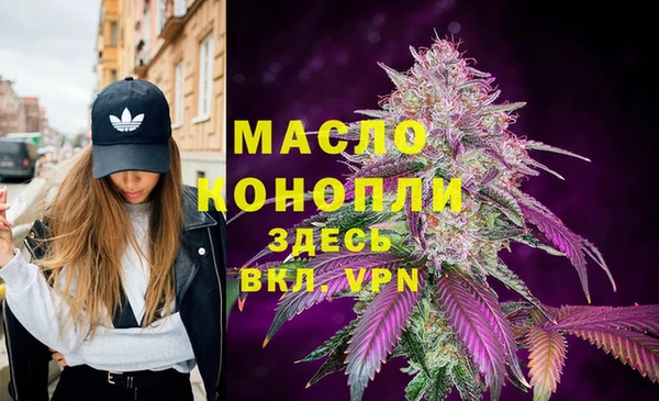 индика Баксан