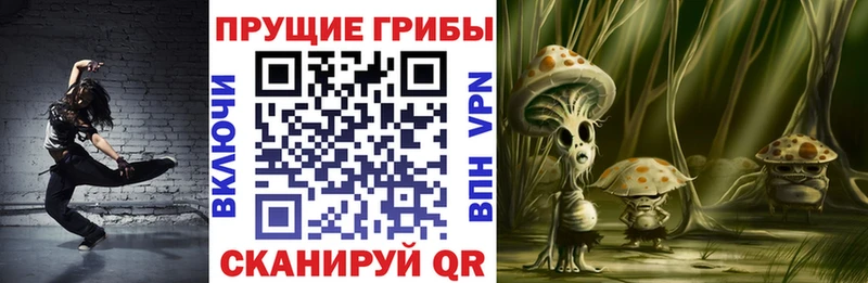 Псилоцибиновые грибы MAGIC MUSHROOMS  Купить  Камешково 